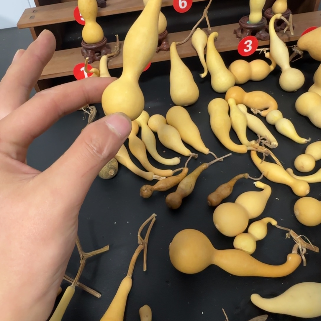 雲****大叶紫檀（黑酸枝木类）