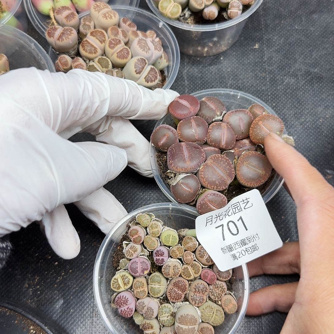 我就去看看她家门口701