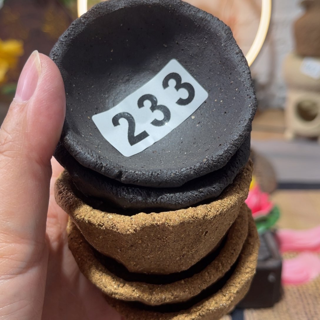 木村信弘柴烧保平