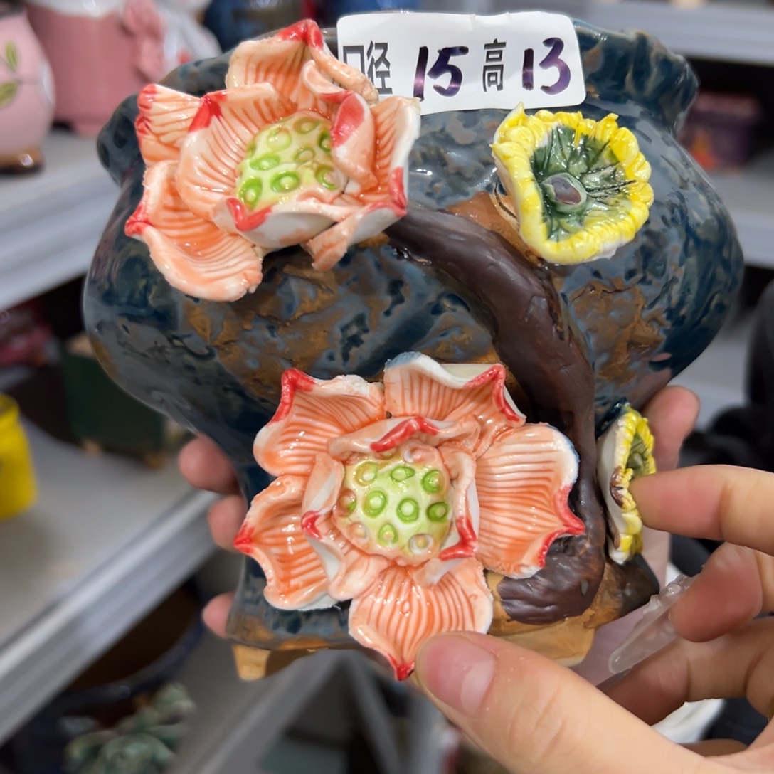  满20发多肉花盆秒拍秒退拉黑