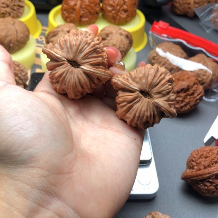 ****杨文玩核桃把件45楼