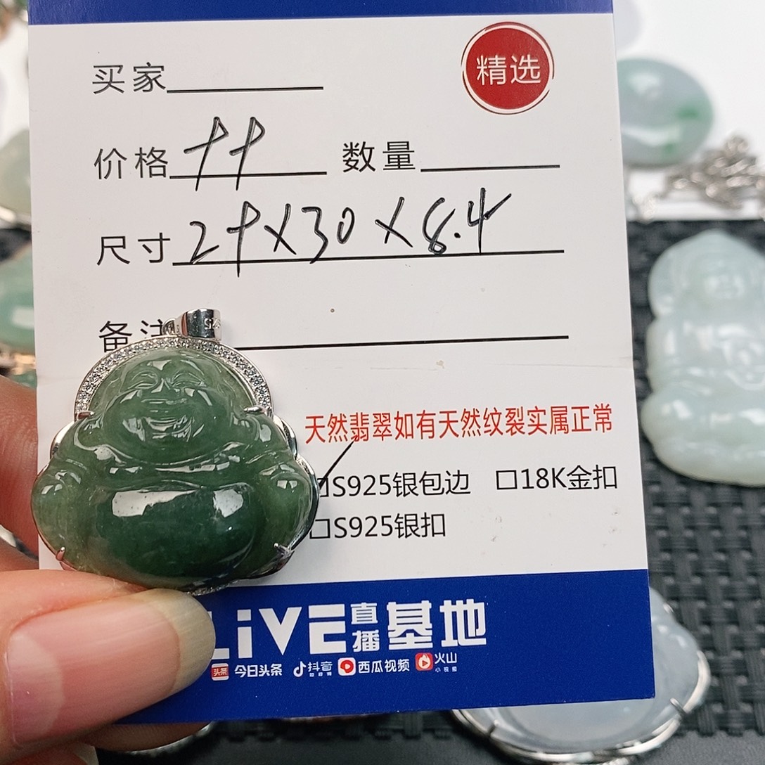 翡翠银S925镀金镶嵌颈饰
