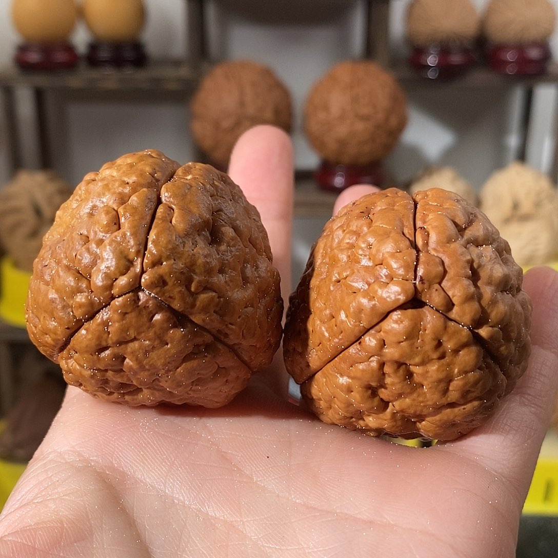 吊坠文玩核桃花***利脑纹金刚练手微色不退不换不接受中差评