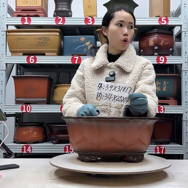 花盆紫砂紫砂花盆