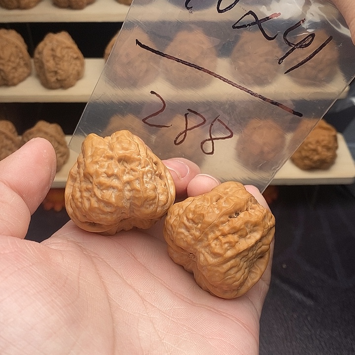 核桃蛤蟆头40边41肚