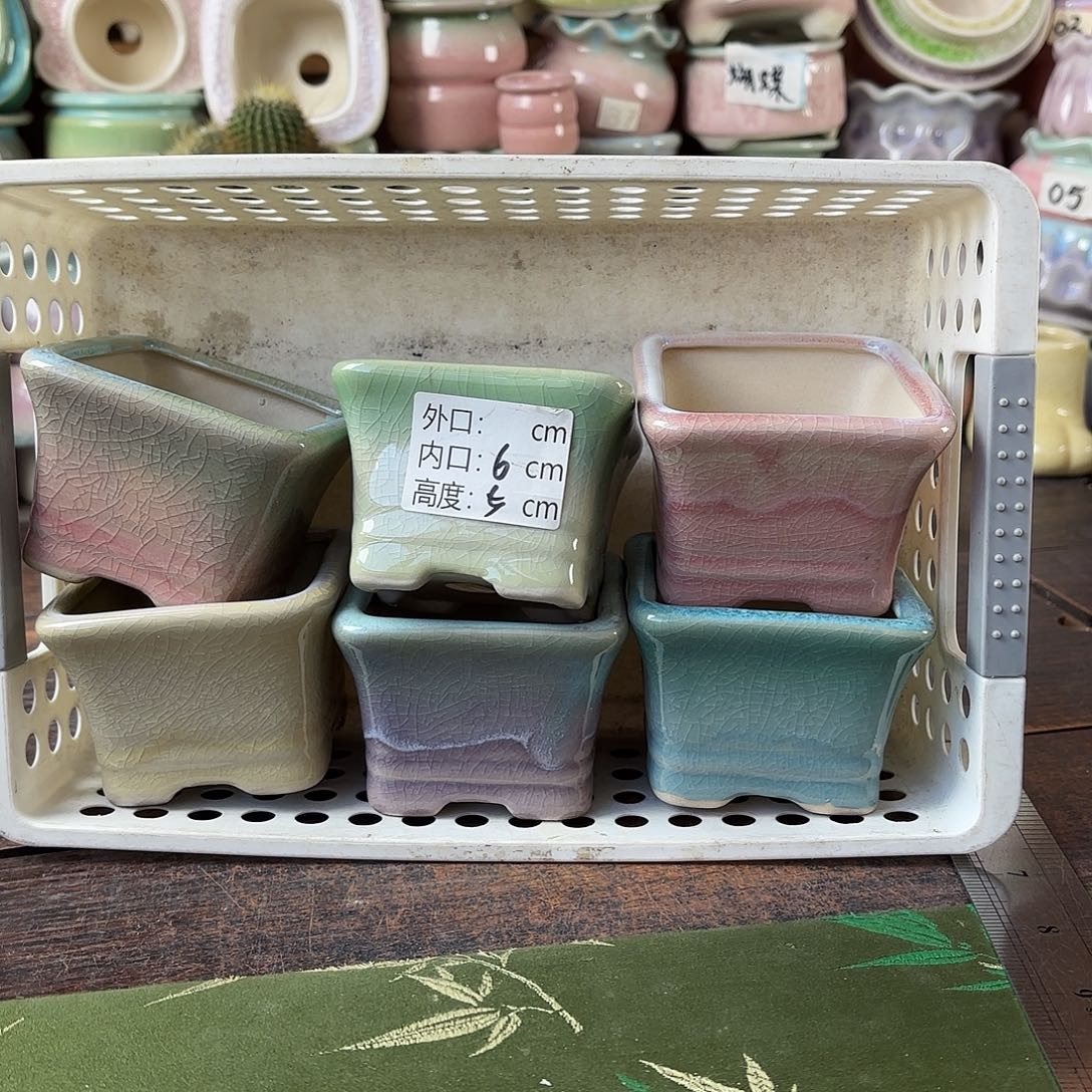 量货/6口高5深浅搭配发6