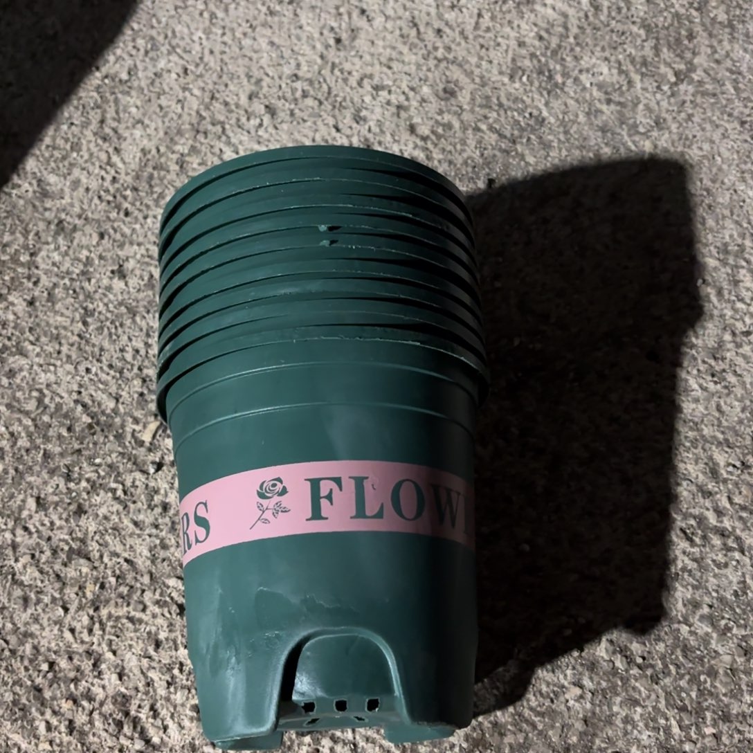 新绿加伦15✖️15发20个