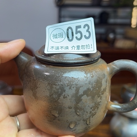 戬谷龙窑柴烧茶壶053