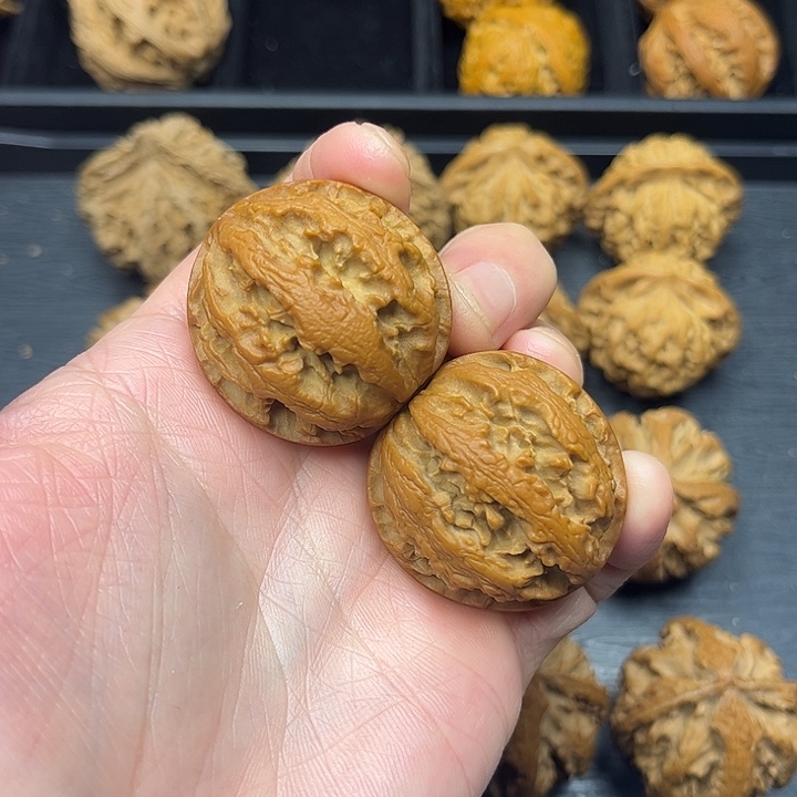 核桃秦岭山脉中段怒江与澜沧江