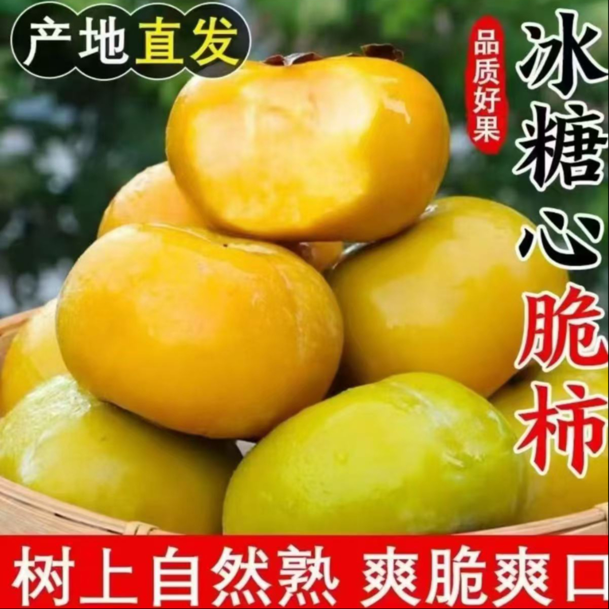 现摘新鲜巧克力脆柿产地直发多汁应季水果ZS