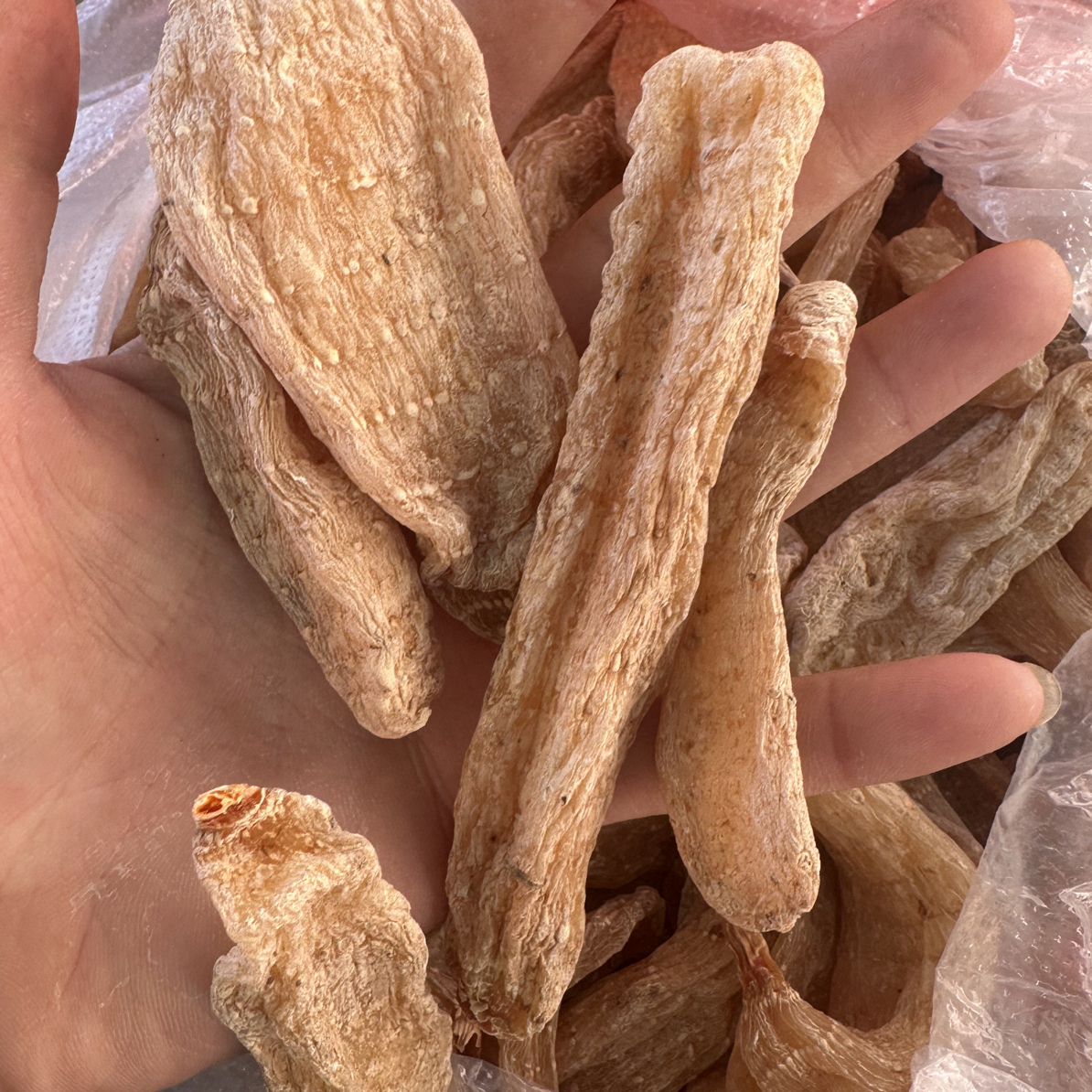 云南下山红鹰嘴天麻