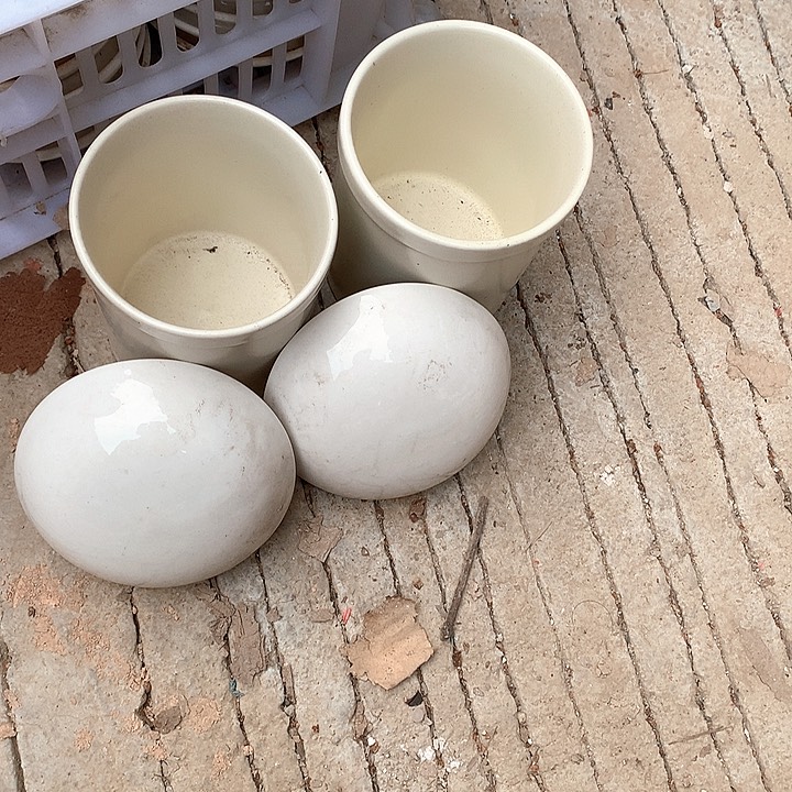 紫砂陶瓷艺术作品欣赏