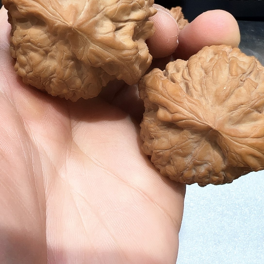 把件文玩核桃50龙鼎