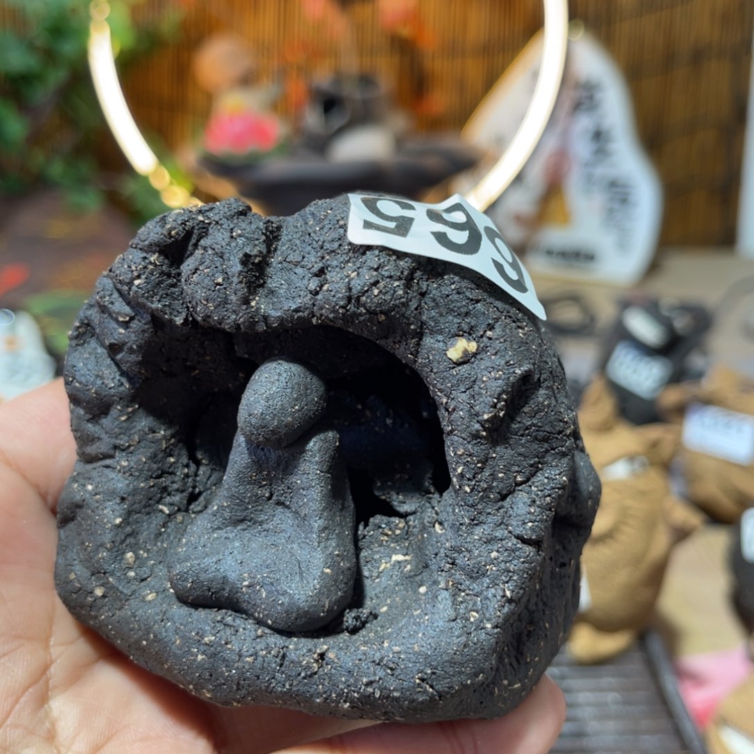 木村信弘柴烧保平