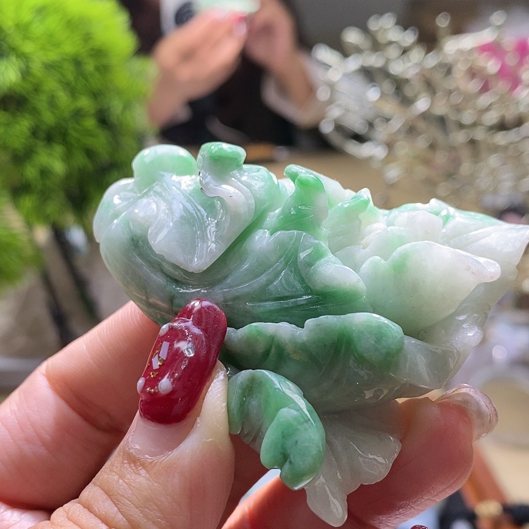 【闪购商品】翡翠颈饰未镶嵌菜