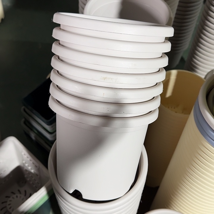 微瑕3#灰白10个无托