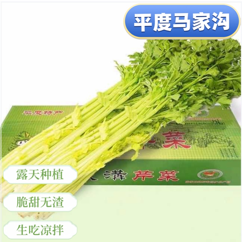 【鲸小鱼/优品】山东平度特产马家沟芹菜营养美味现摘现发直享新鲜