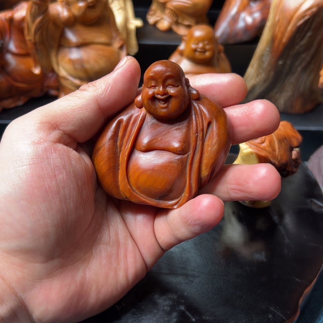 柏木（崖柏）太行崖柏