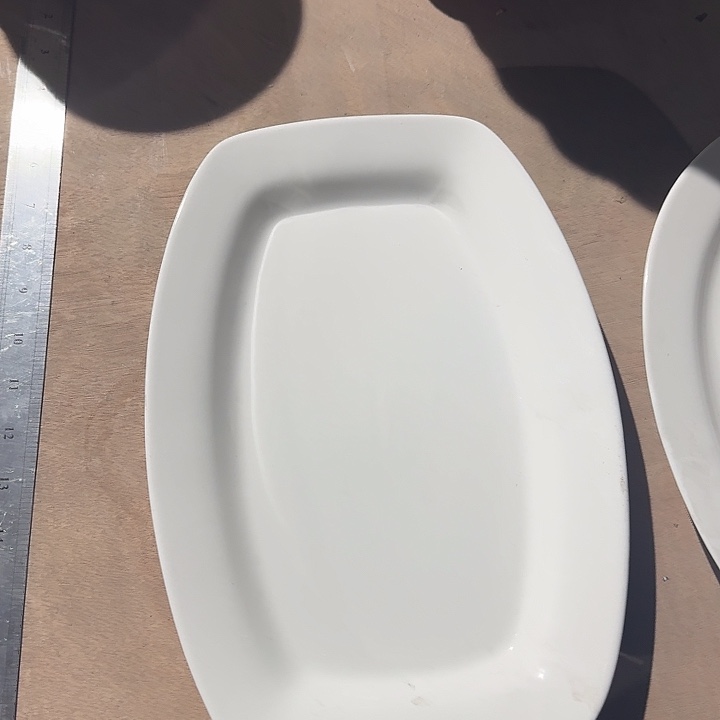 瓷13 英寸 鱼盘 2 个