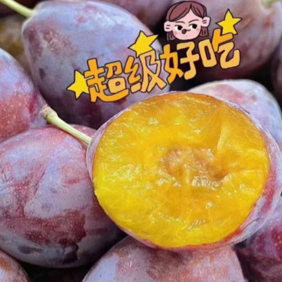 空运西梅智利法兰西西梅