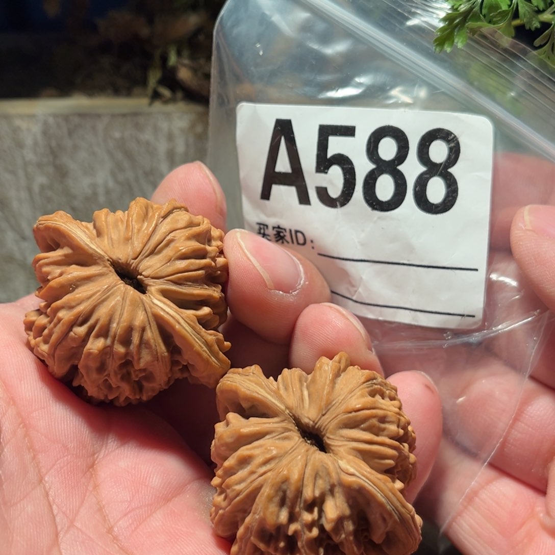 文玩核桃把件心**悦111111111111