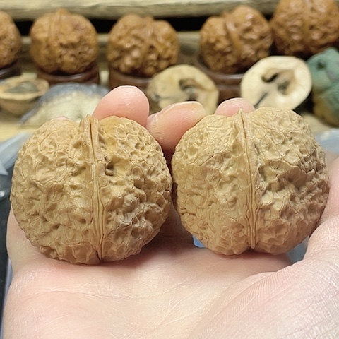 文玩核桃把件铁狮蟾带彩44