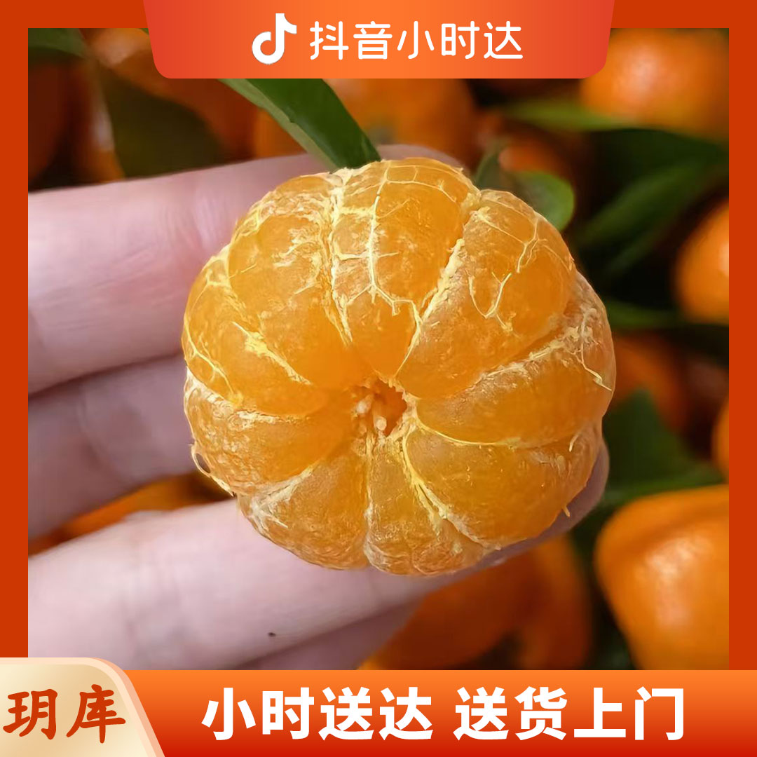 砂糖橘500g