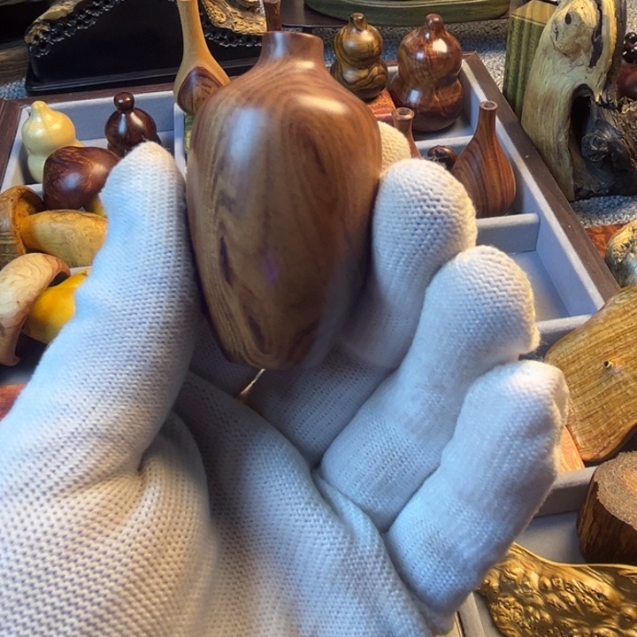 木非洲沙漠铁木，瑕疵花插