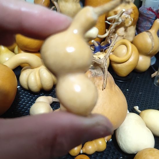 邹***吉回来哈哈哈哈哈哈哈