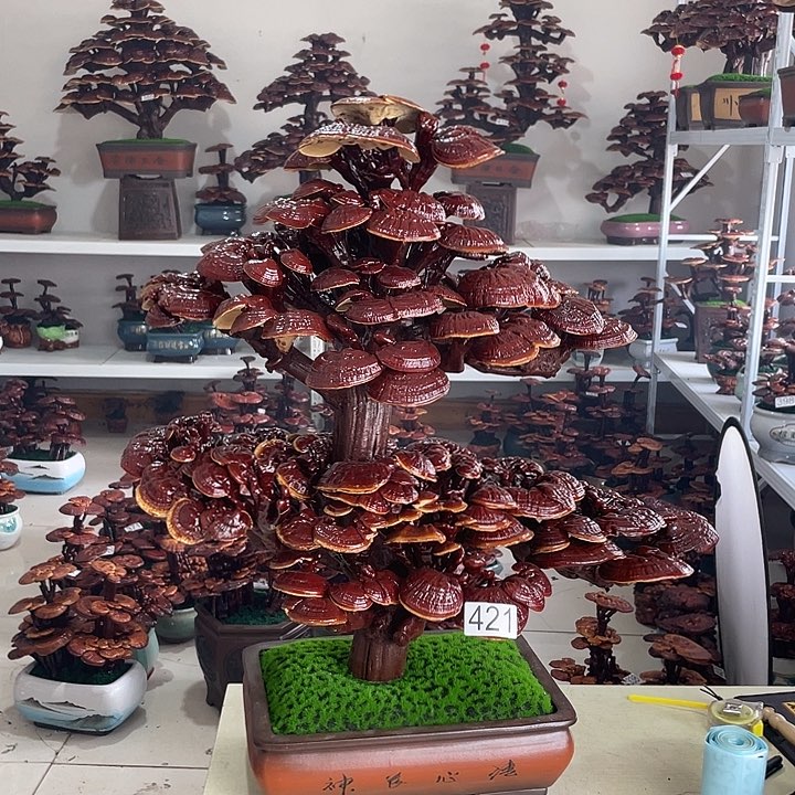 杭****疗421888888888888888