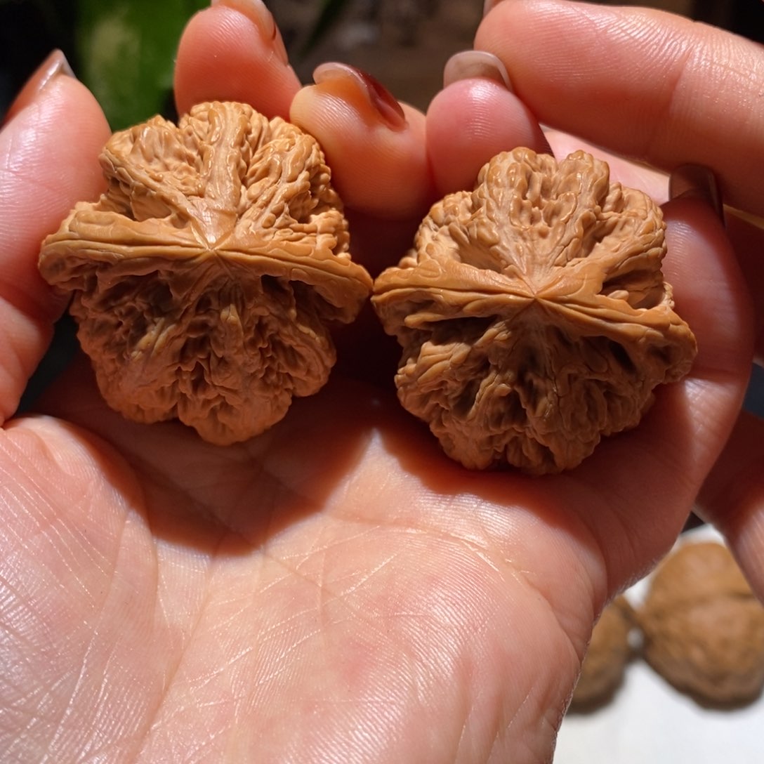 文玩核桃把件大粗筋39