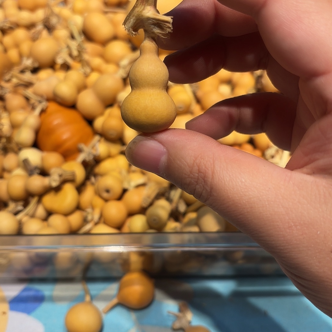 瘦***.哈哈哈哈哈哈哈哈