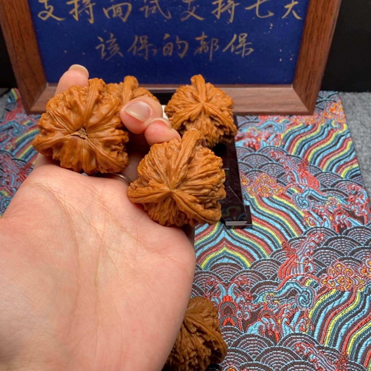【闪购商品】一*。白狮