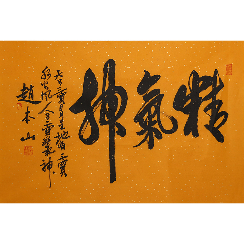 D470 赵本山书法软片 69cm×46cm