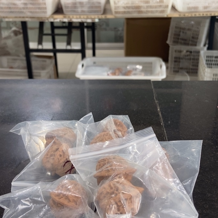 吊坠文玩核桃小七