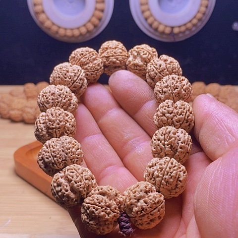 手串金刚菩提今日福利