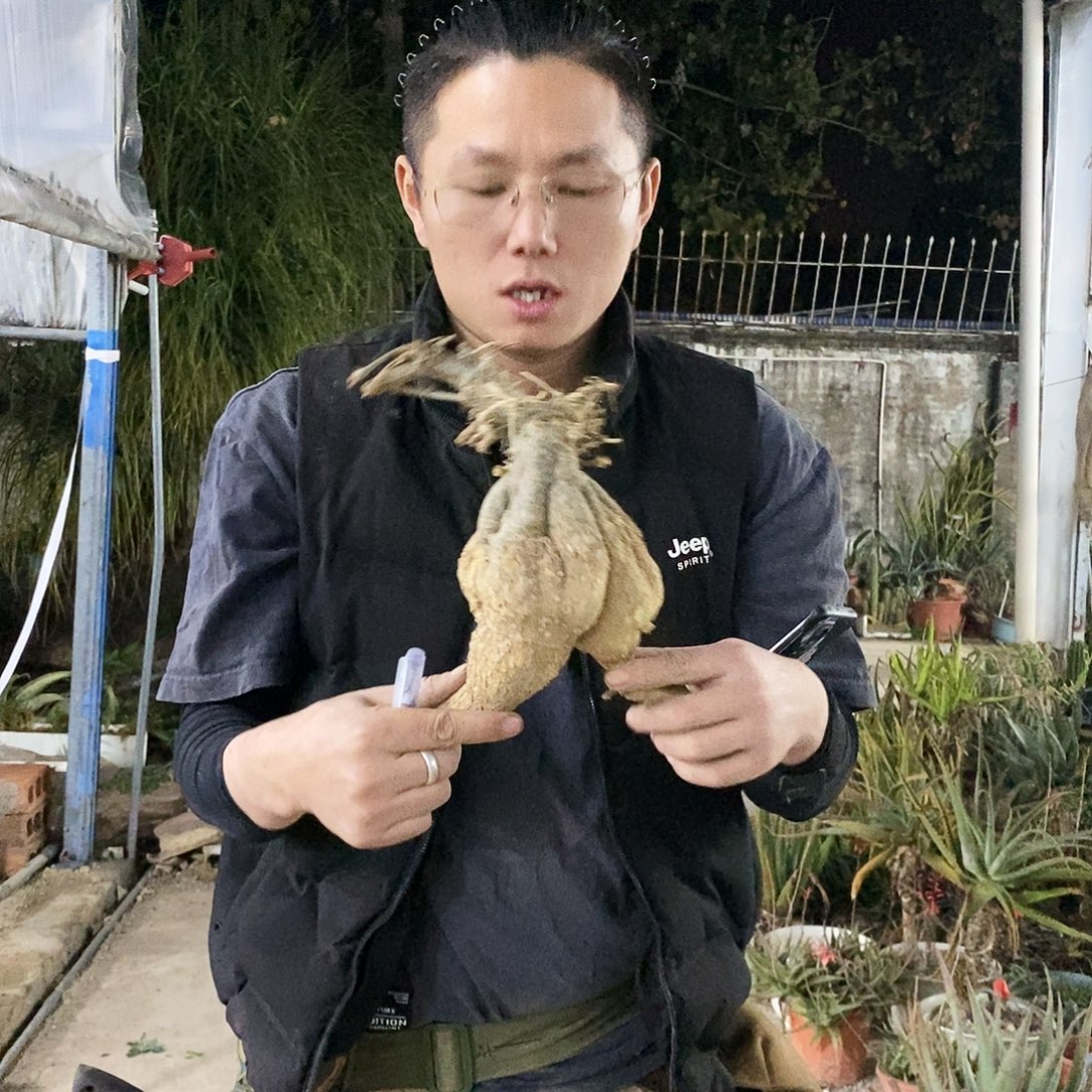 63号选手。           