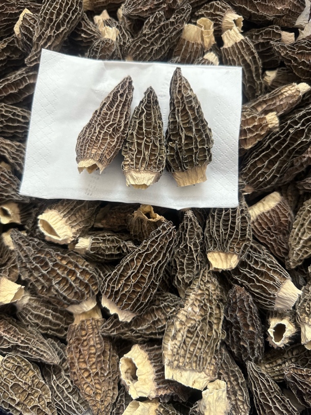 6到8羊肚菌煲汤佳品