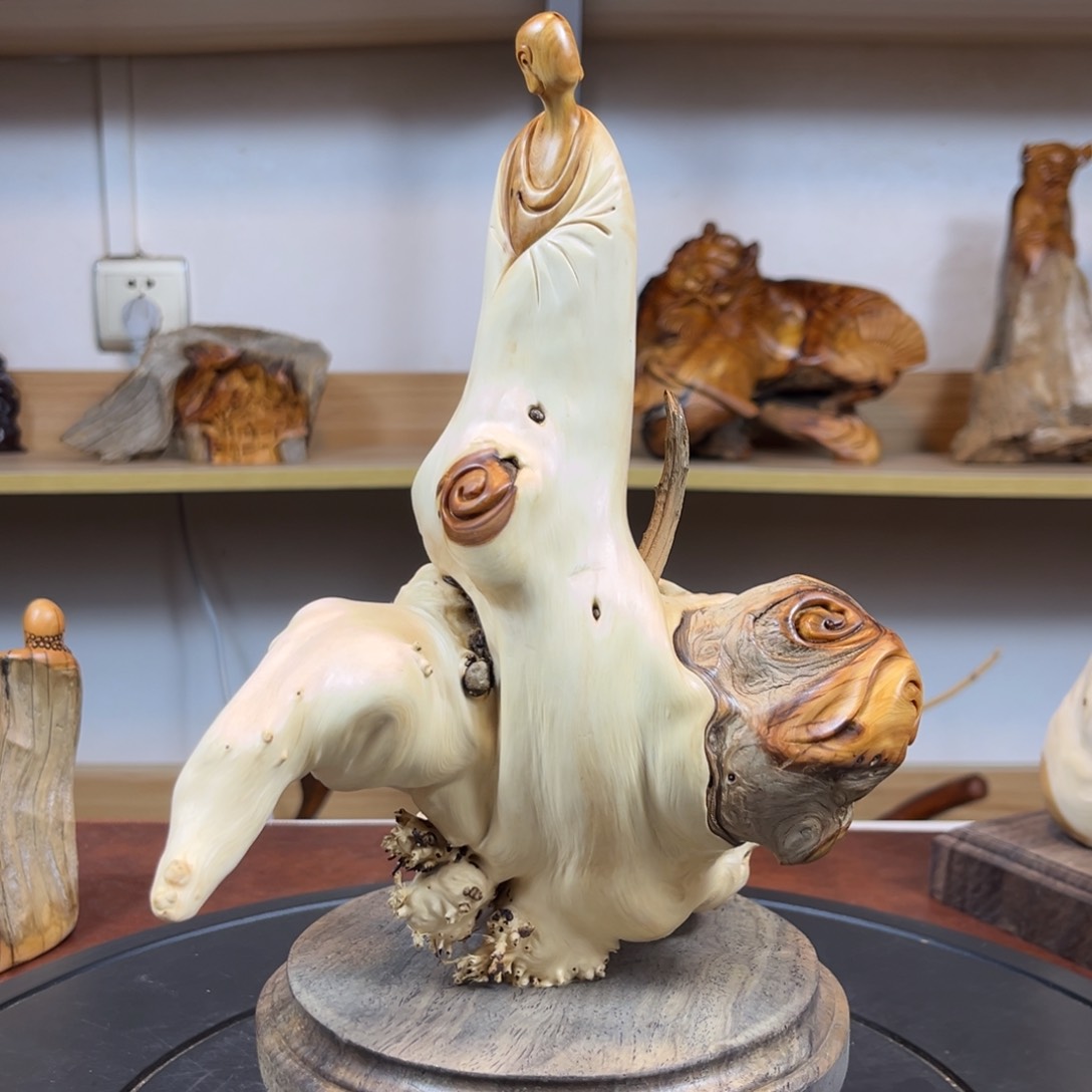 柏木（崖柏）cv v g h v b b n n