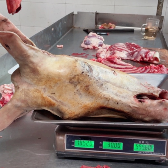 【闪购商品】冷冻保存30天包装河北省石*磊