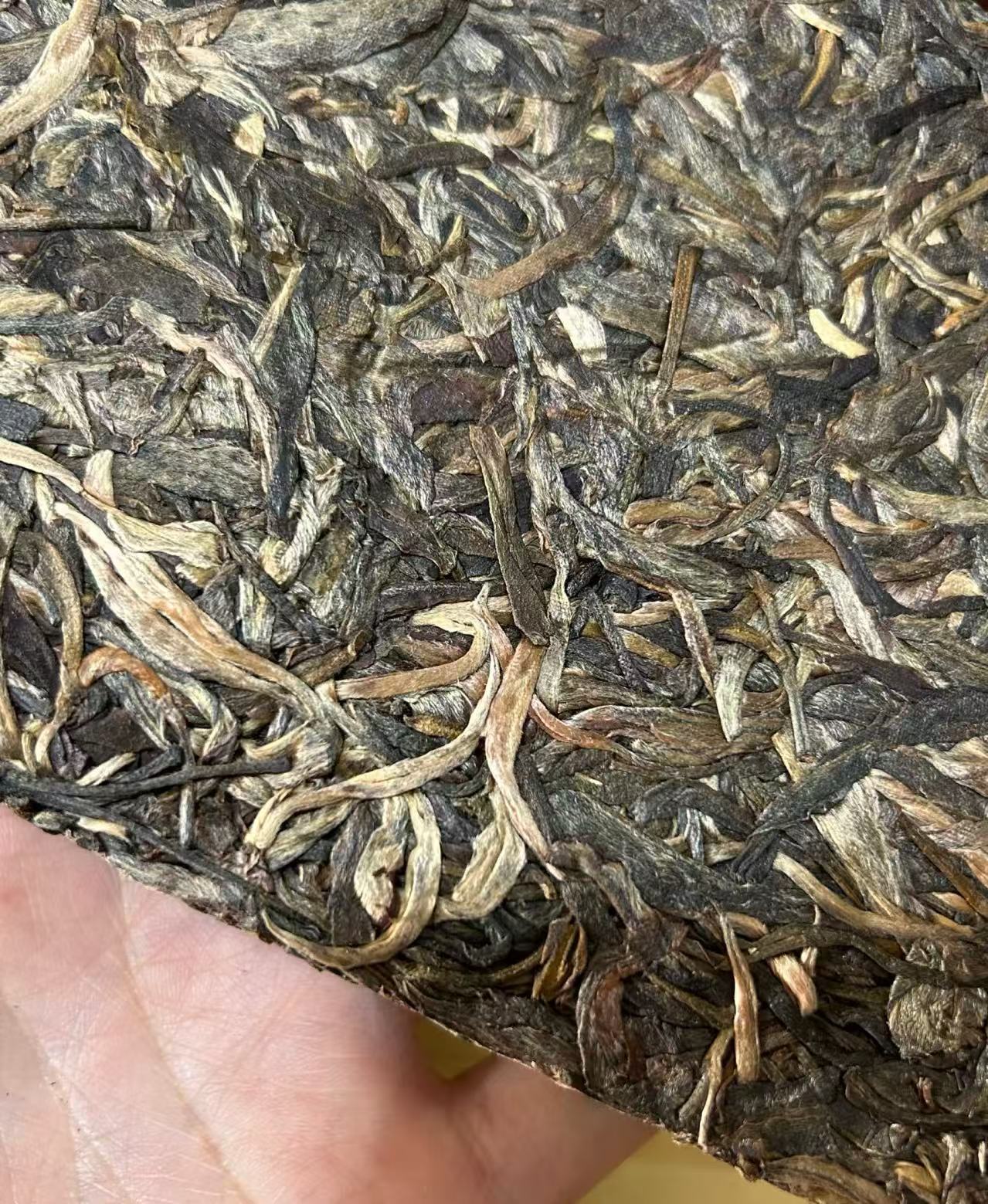 普洱茶 2005年百花潭白茶砖200克   12月6日 