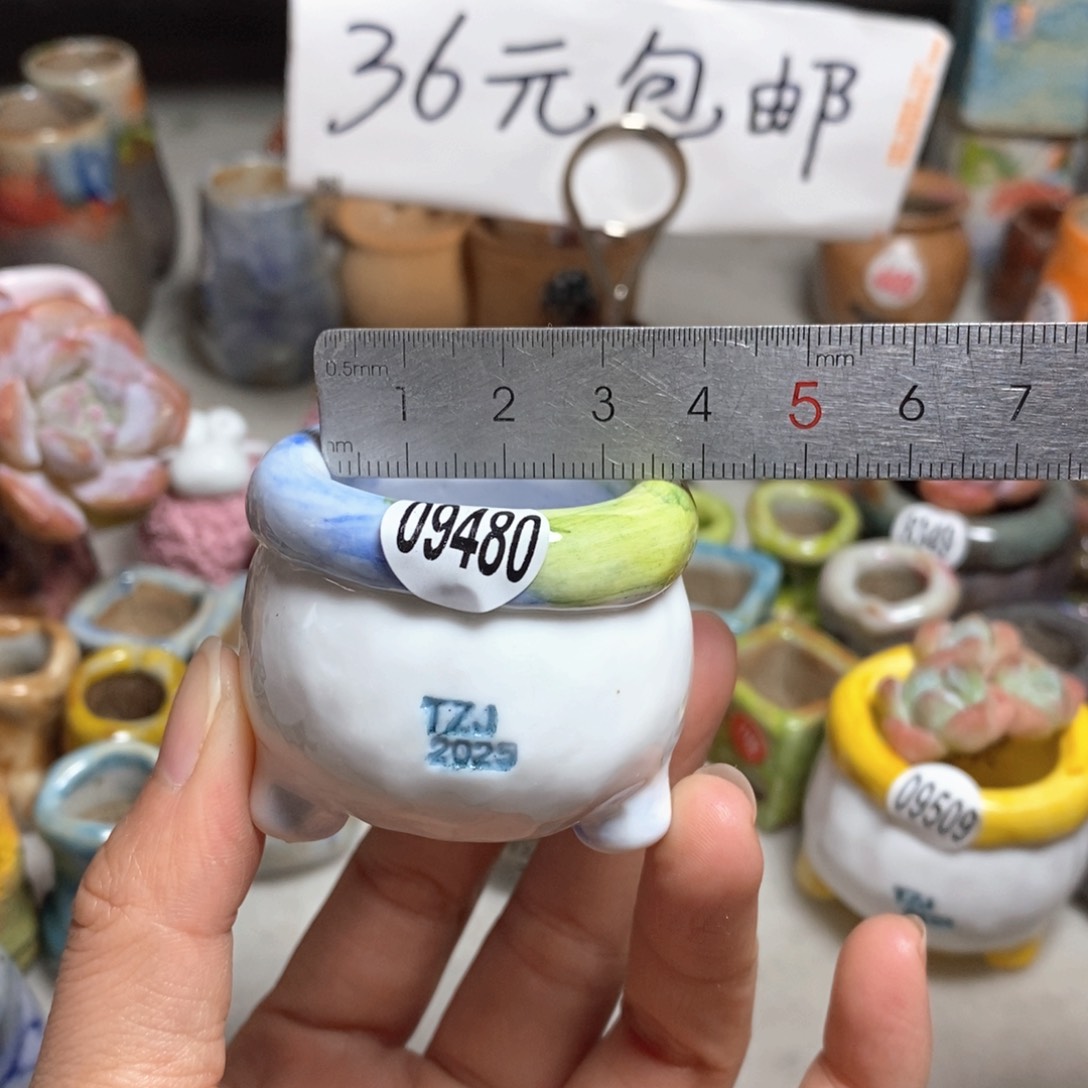 拍3送一个小礼物