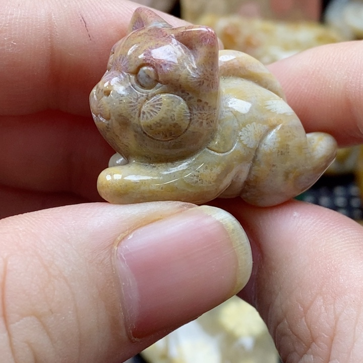 硅化珊瑚（珊瑚玉）颈饰未镶嵌特价小摆件