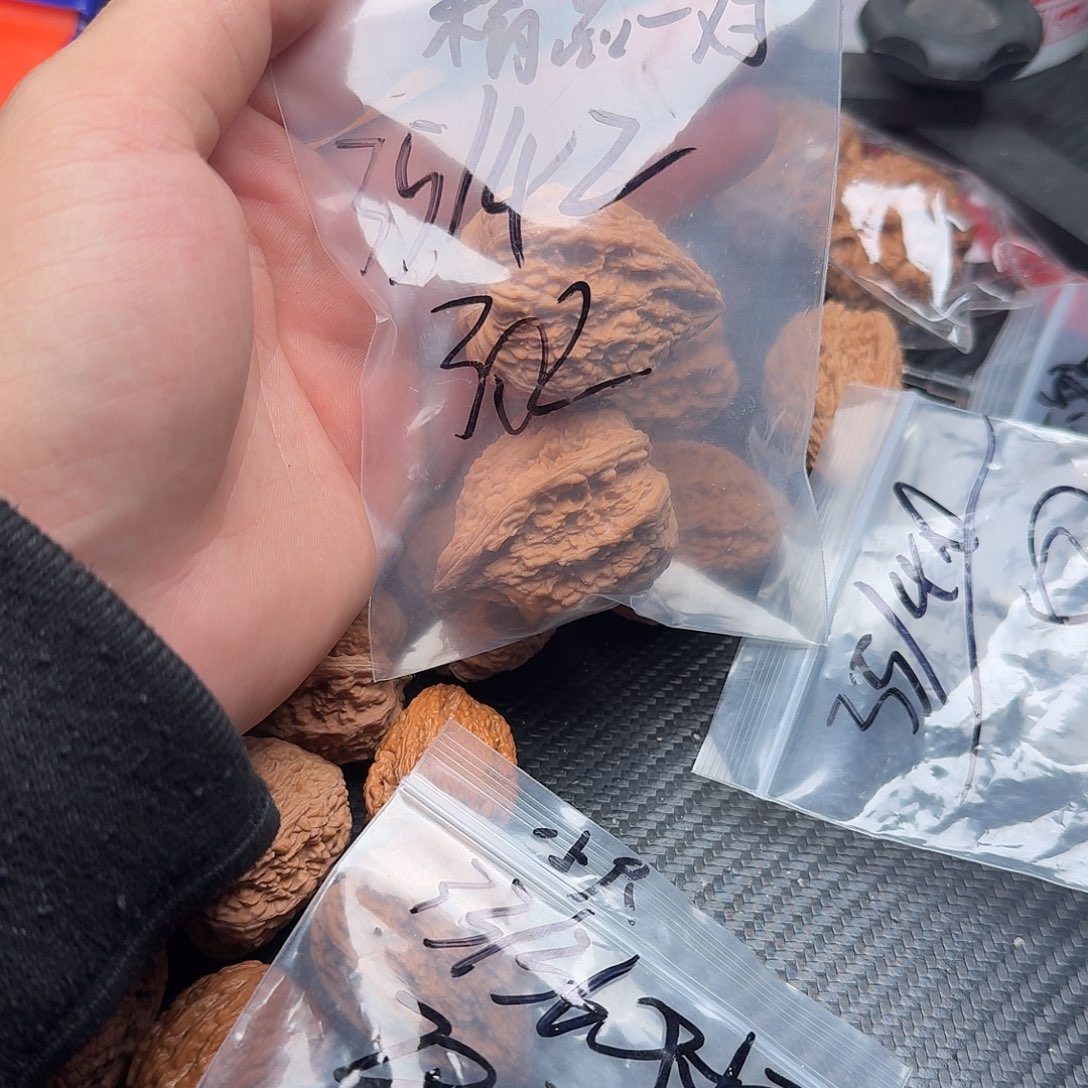 桃核吊坠福利塔尖核桃302