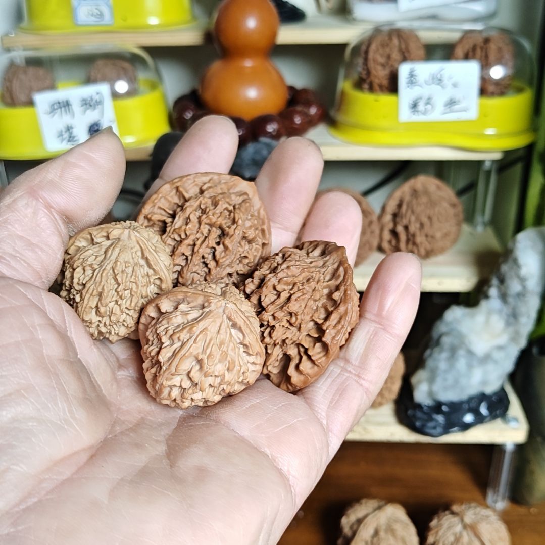 野生官帽和小白狮子各一对