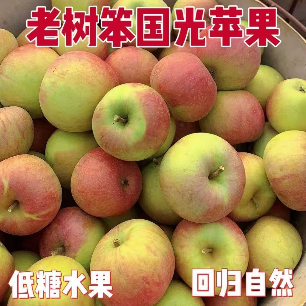 东北小国光苹果酸甜脆 当季水果不打蜡孕妇酸甜口果光老树丑苹果