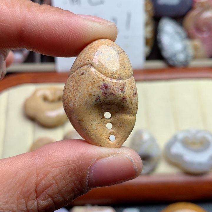 硅化珊瑚（珊瑚玉）颈饰未镶嵌