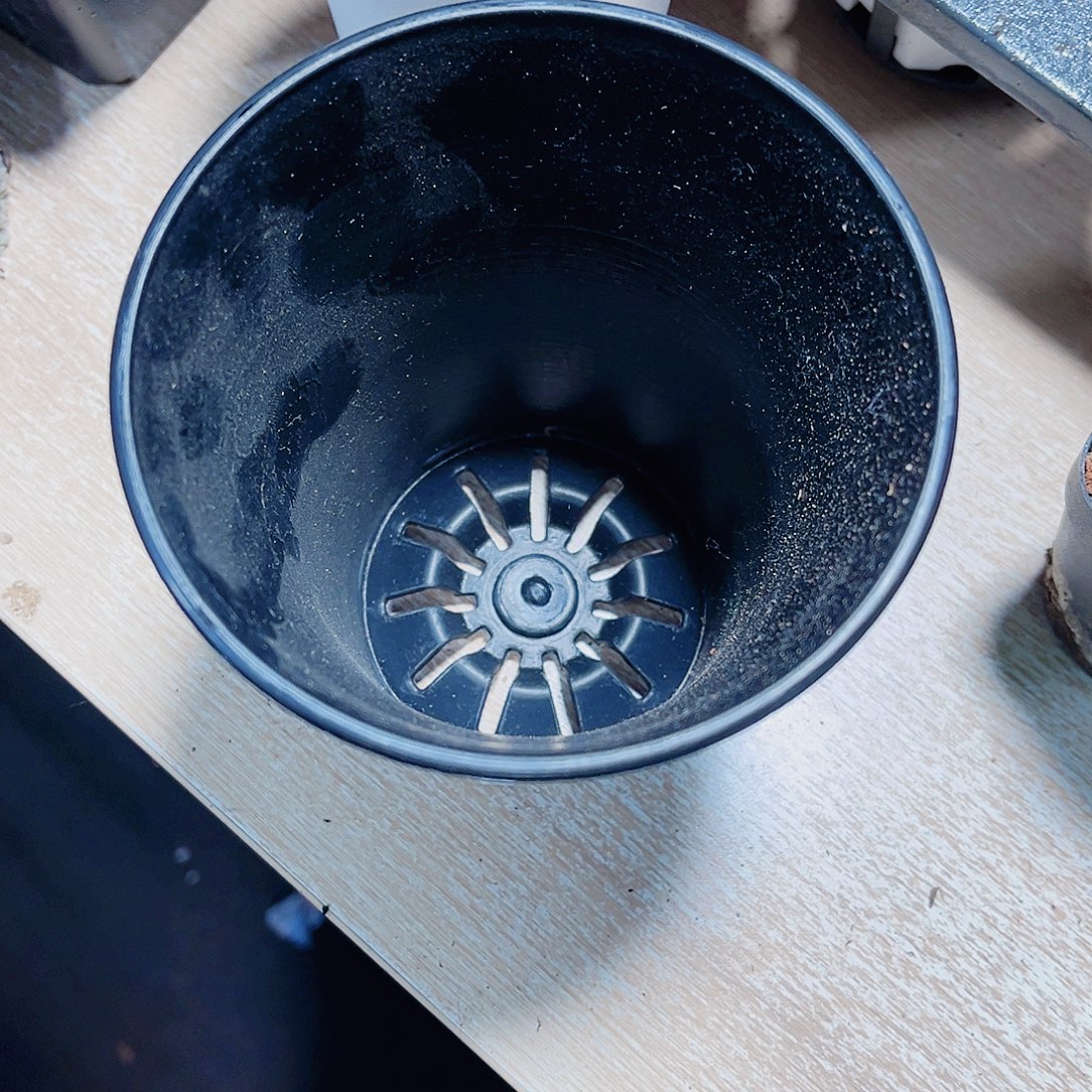 栽种服务一物一拍