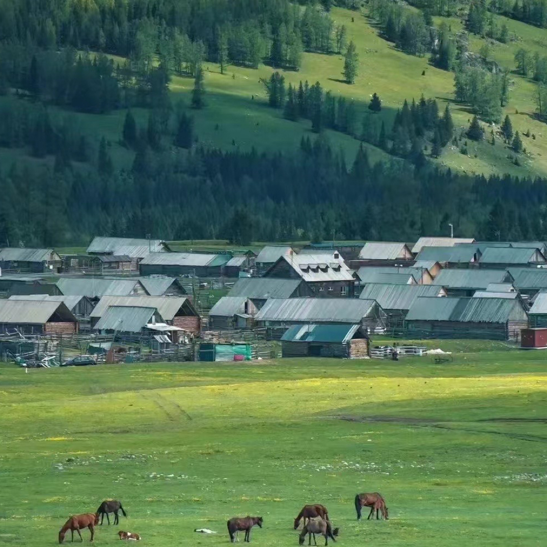 土特产临时链接非中药