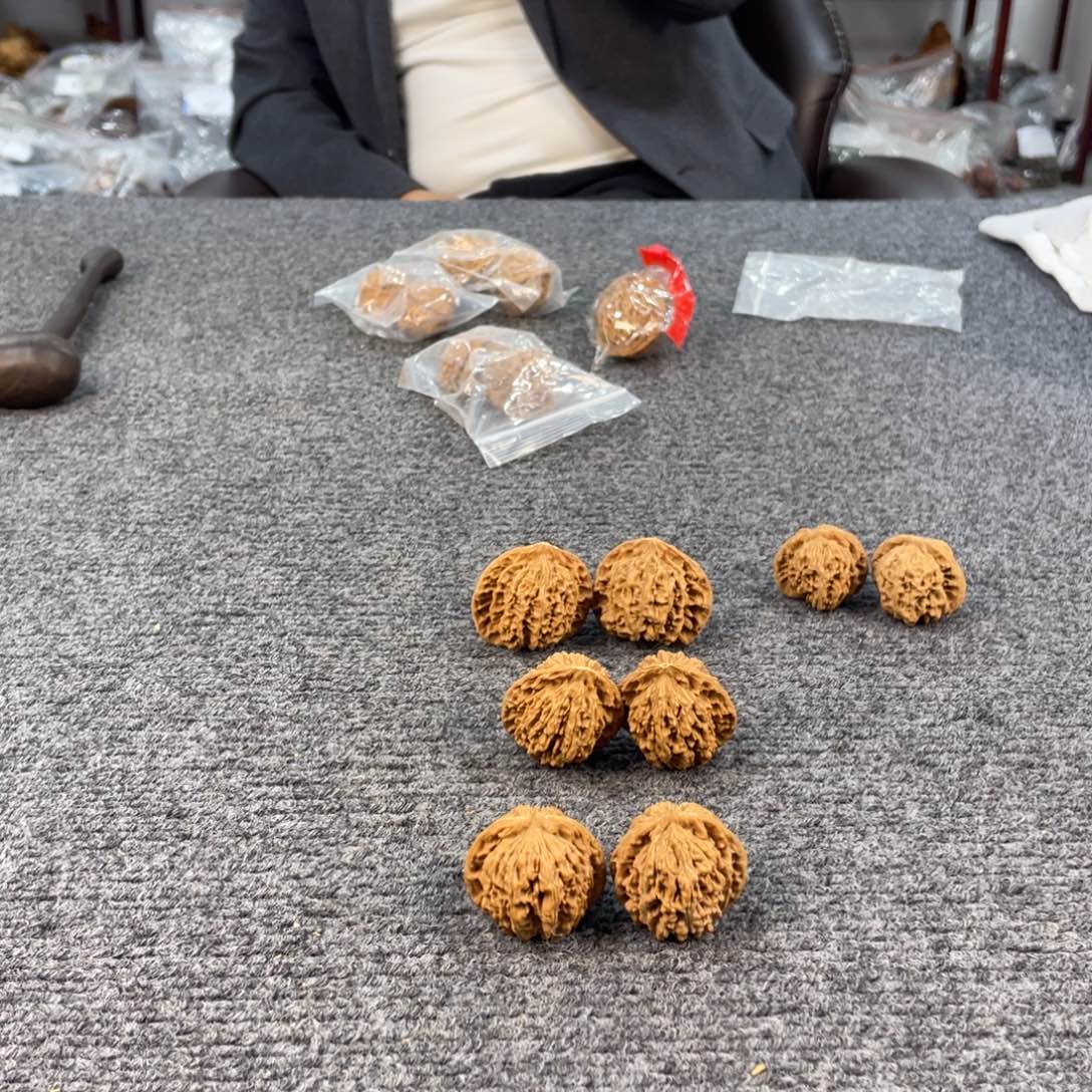 柏木（崖柏）核桃到手一对，白给